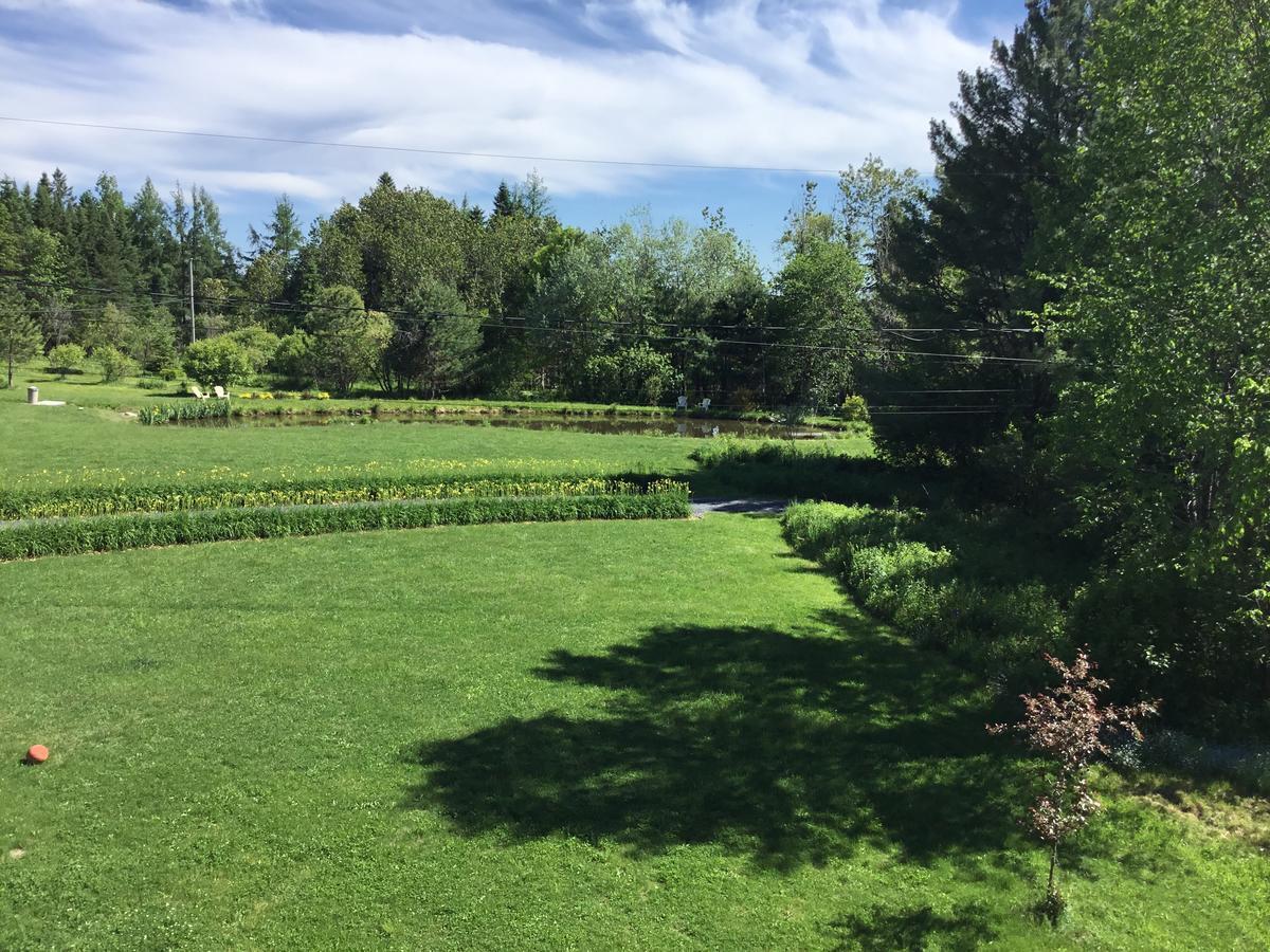 Auberge Taylor Manor Сен-Жорж Екстериор снимка